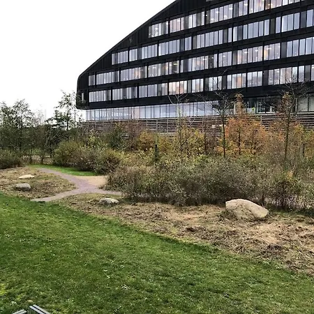 1 Bedroom Designer Flat