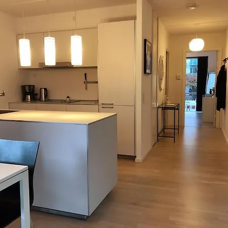 1 Bedroom Designer Flat Apartment