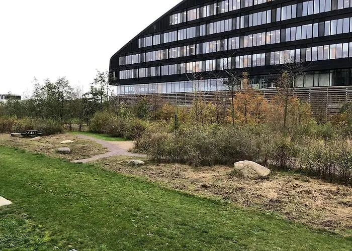 1 Bedroom Designer Flat