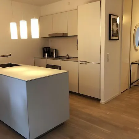 1 Bedroom Designer Flat Kodaň